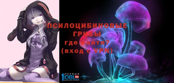скорость Кинешма