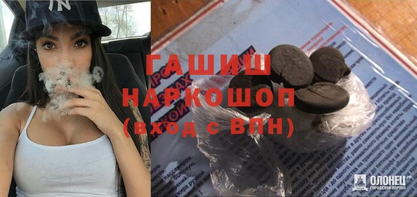 гидра Щигры